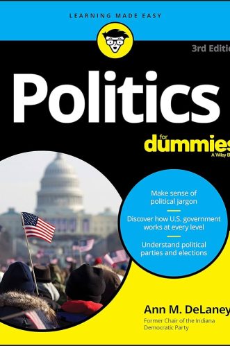 Poltics For Dummies