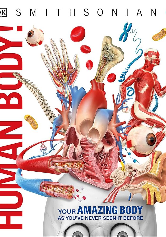 The Human Body